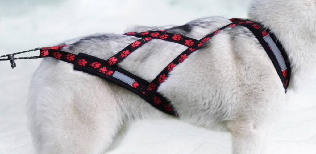 Weight Pulling Dog Harness, X - Back Style for Canicross, Bike, Sled, Scooter, Bike-, Ski-Joring, Jogging,... red paws
