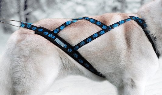 Weight Pulling Dog Harness, X - Back Style for Canicross, Bike, Sled, Scooter, Bike-, Ski-Joring, Jogging,.. blue paws