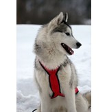 Northern Howl Weight Pulling Dog Harness, X - Back Style for Canicross, Bike, Sled, Scooter, Bike-, Ski-Joring, Jogging,... in red