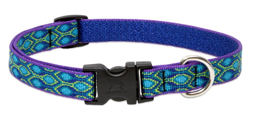 Lupinepet Hundehalsband Rainsong / Breite 19mm