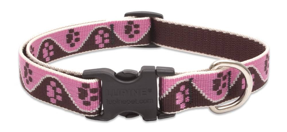 Lupinepet Hundehalsband Tickled Pink / Breite 19mm