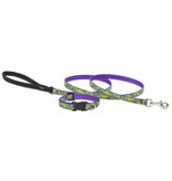 Lupinepet Hundehalsband Big Easy / Breite 12mm