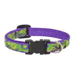 Lupinepet Hundehalsband Big Easy / Breite 12mm