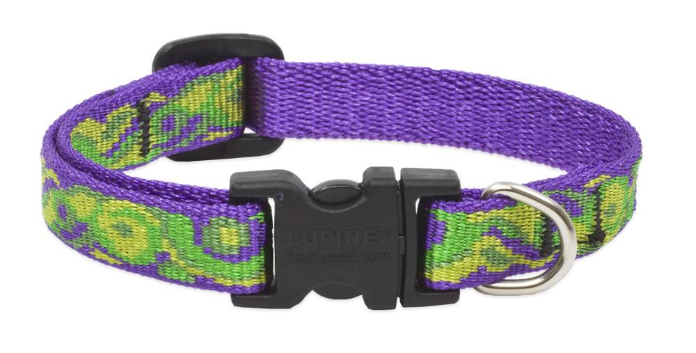 Lupinepet Hundehalsband Big Easy / Breite 12mm