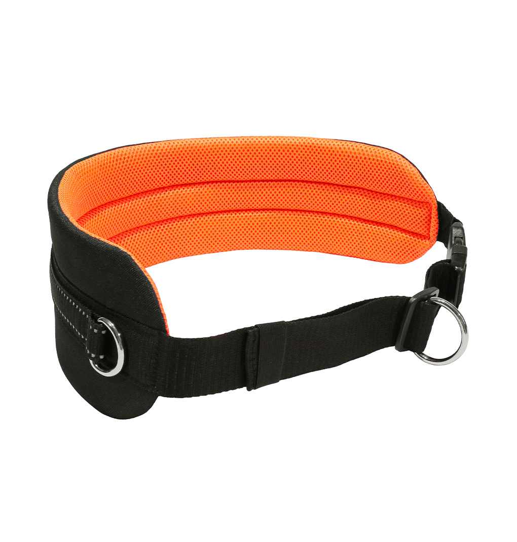 LASALINE Mains-libres chien marchant Courir jogging Ceinture - orange fluo Pedding / noir avec réflecteurs