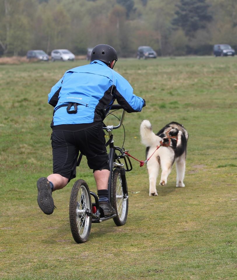 Pawtrekker Scooter pour chien Pawtrekker - Modèle à suspension complète