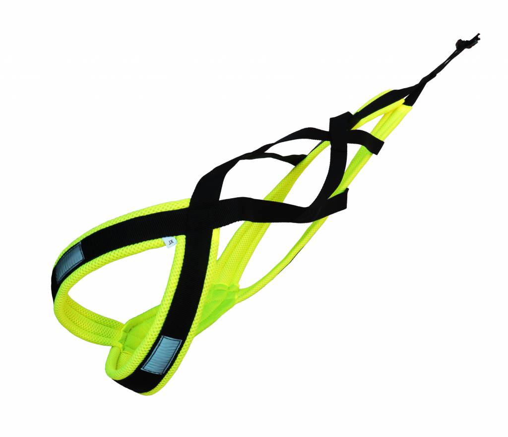 LASALINE X-Back harnais pour chien pour le vélo, ski-joering, scooter, traîneau  - Copy - Copy