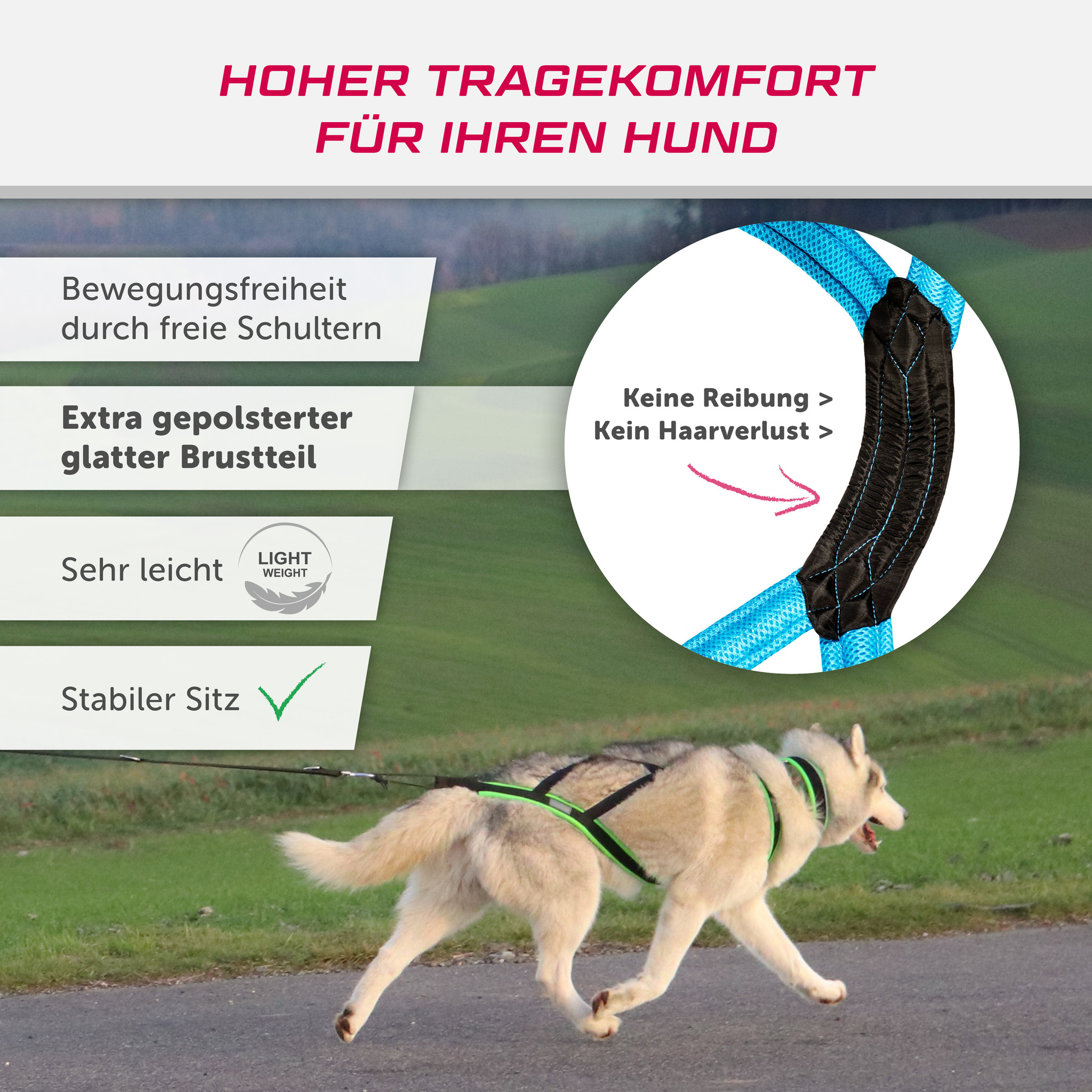 LASALINE X-Back harnais pour chien pour le vélo, ski-joering, scooter, traîneau - en noir avec un rembourrage bleu clair