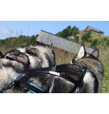 LASALINE Zuggeschirr für Hunde X-Back für Canicross Scooter Bikejöring Schlitten