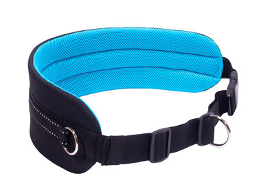 Canicross Ceinture