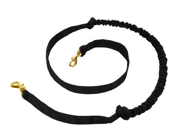 Hands free Dog Leash