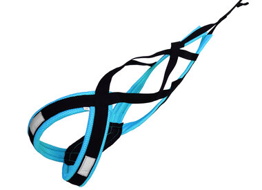 Canicross Harness