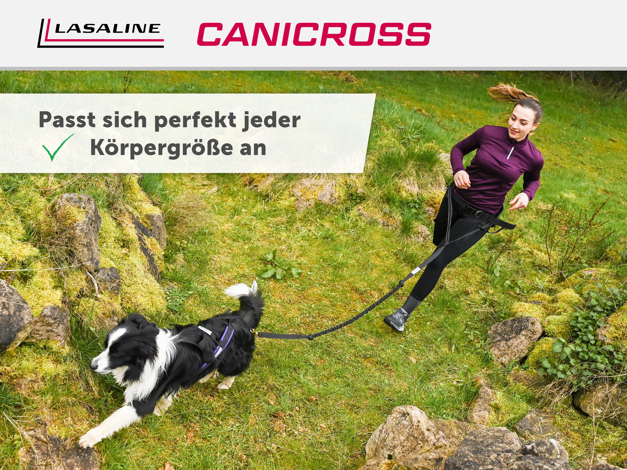 LASALINE X-Back harnais pour chien pour le vélo, ski-joering, scooter, traîneau - en noir avec un rembourrage bleu clair