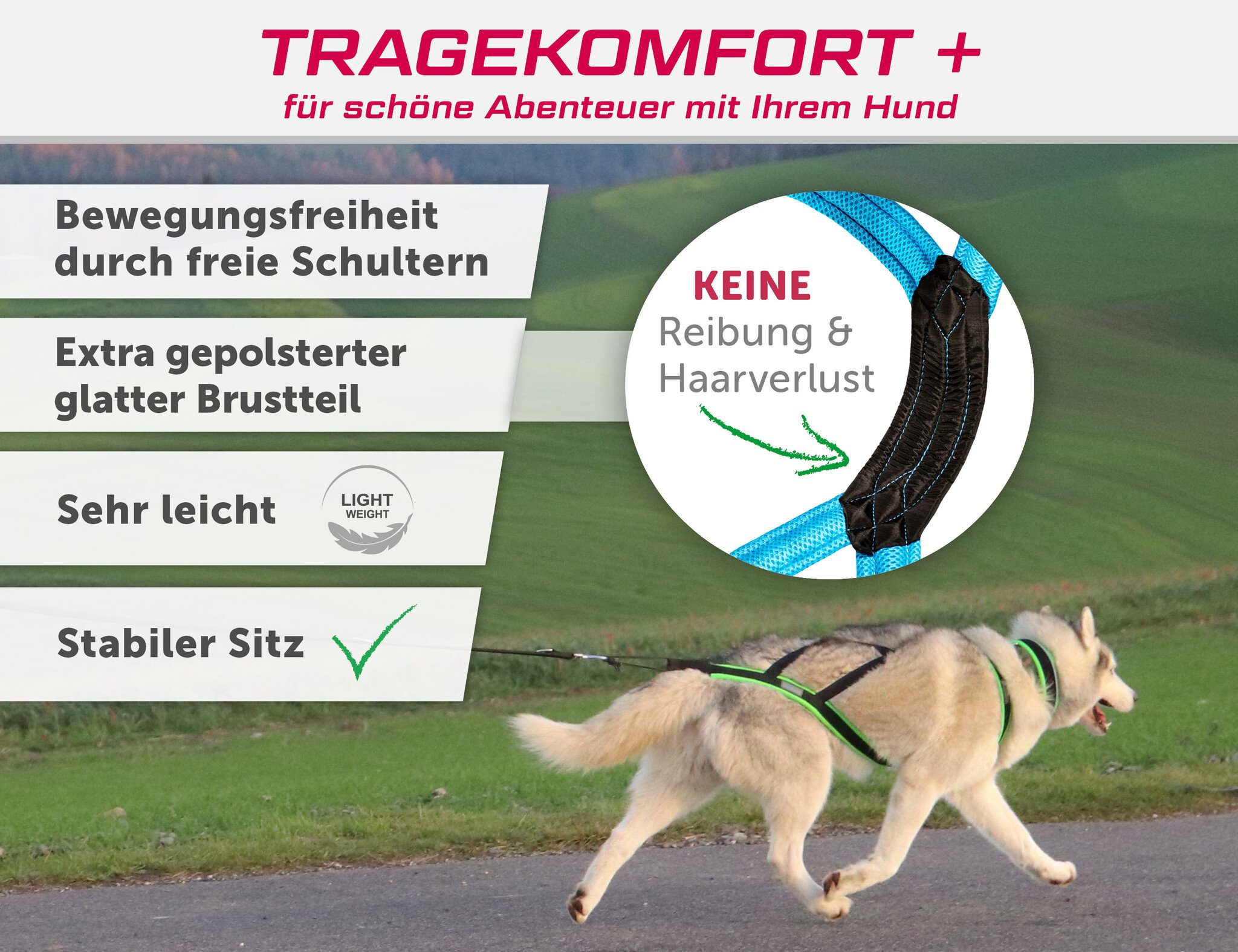 LASALINE LasaLine Weight Pulling Dog Harness, X - Back Style for Canicross, Bike, Sled, Scooter, Bike-, Ski-Joring, Jogging,... in black with light blue padding