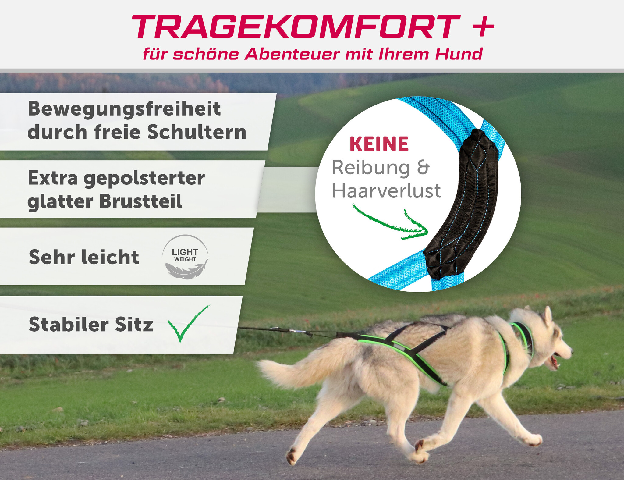 LASALINE X-Back harnais pour chien pour le vélo, ski-joering, scooter, traîneau - en noir avec un rembourrage bleu clair