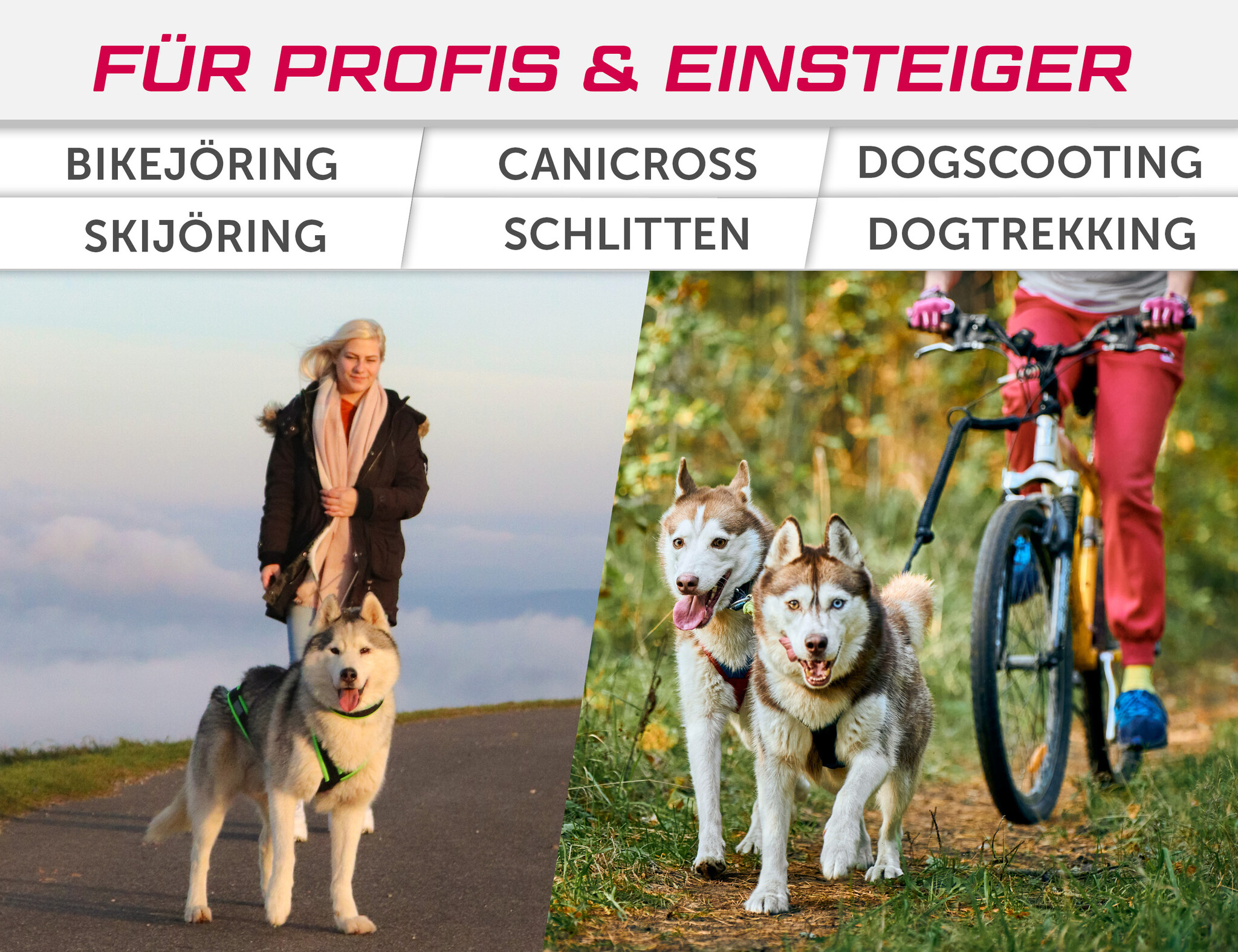 LASALINE Zuggeschirr für Hunde X-Back für Canicross Scooter Bikejöring Schlitten