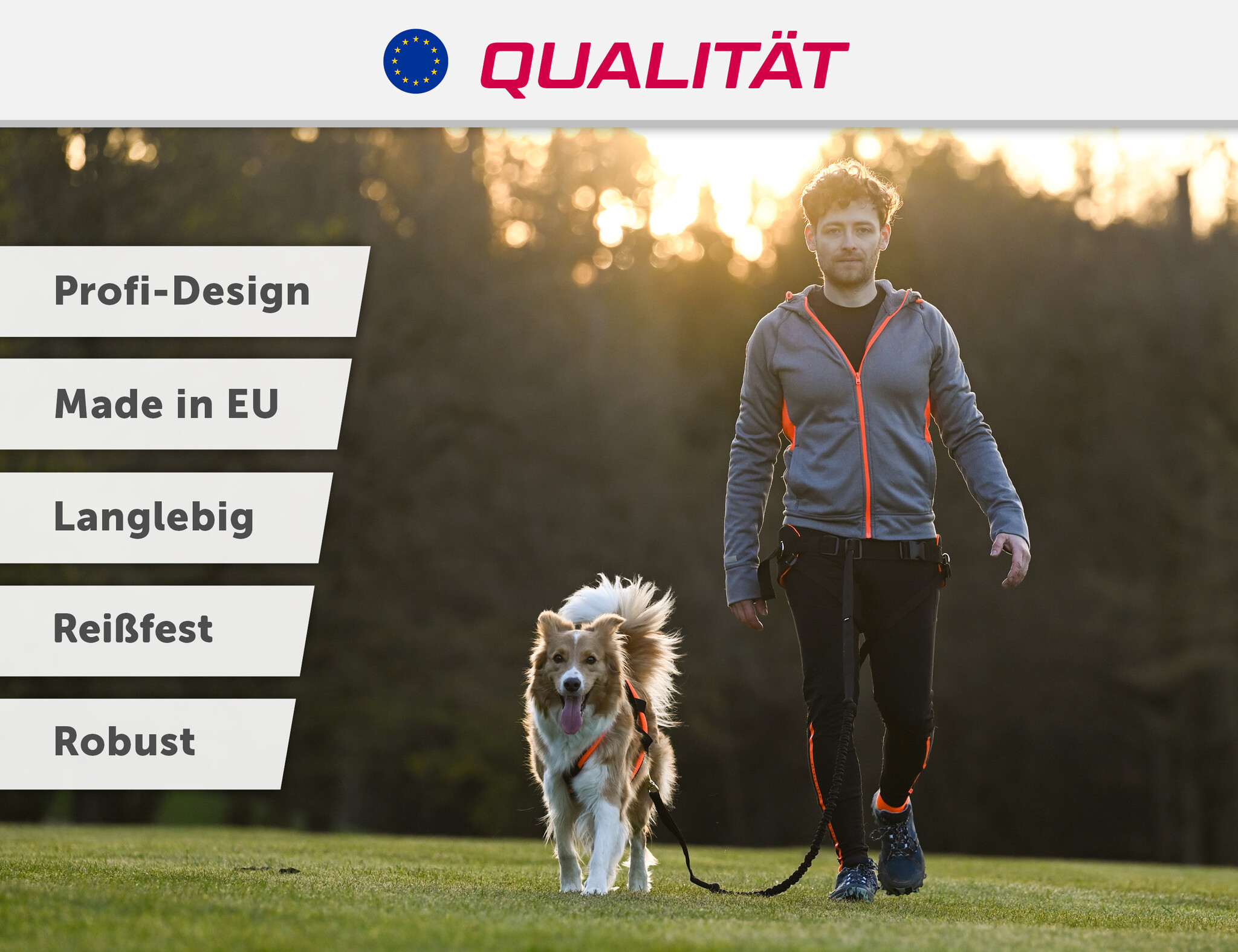 LASALINE Zuggeschirr für Hunde X-Back für Canicross Scooter Bikejöring Schlitten