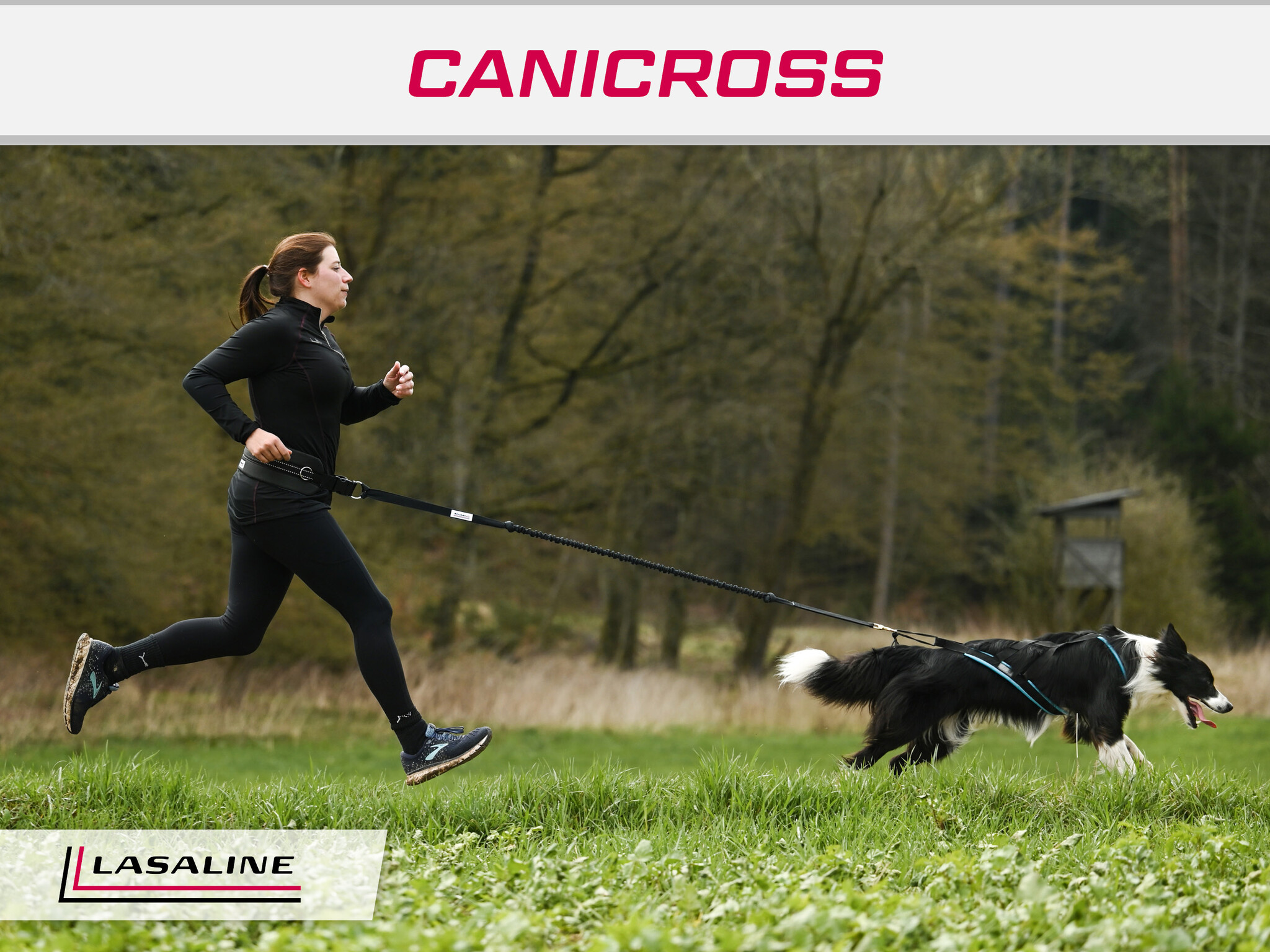 LASALINE LASALINE Handsfree Dog Walking Running Jogging Waist Belt -  black Pedding/ black with reflectors