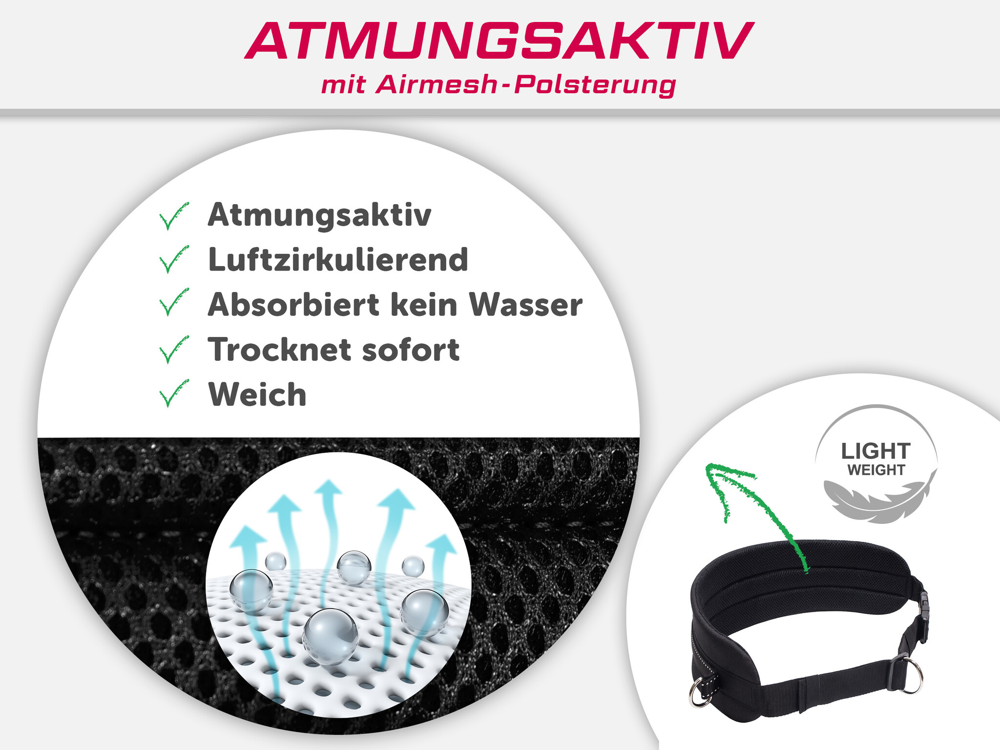 LASALINE LASALINE Mains-libres chien marchant Courir jogging Ceinture - noir Pedding / réflecteurs noirs