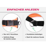 LASALINE Mains-libres chien marchant Courir jogging Ceinture - orange fluo Pedding / noir avec réflecteurs