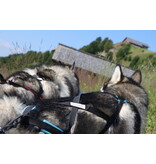LASALINE LASALINE Weight Pulling Dog Harness, X - Back Style in black