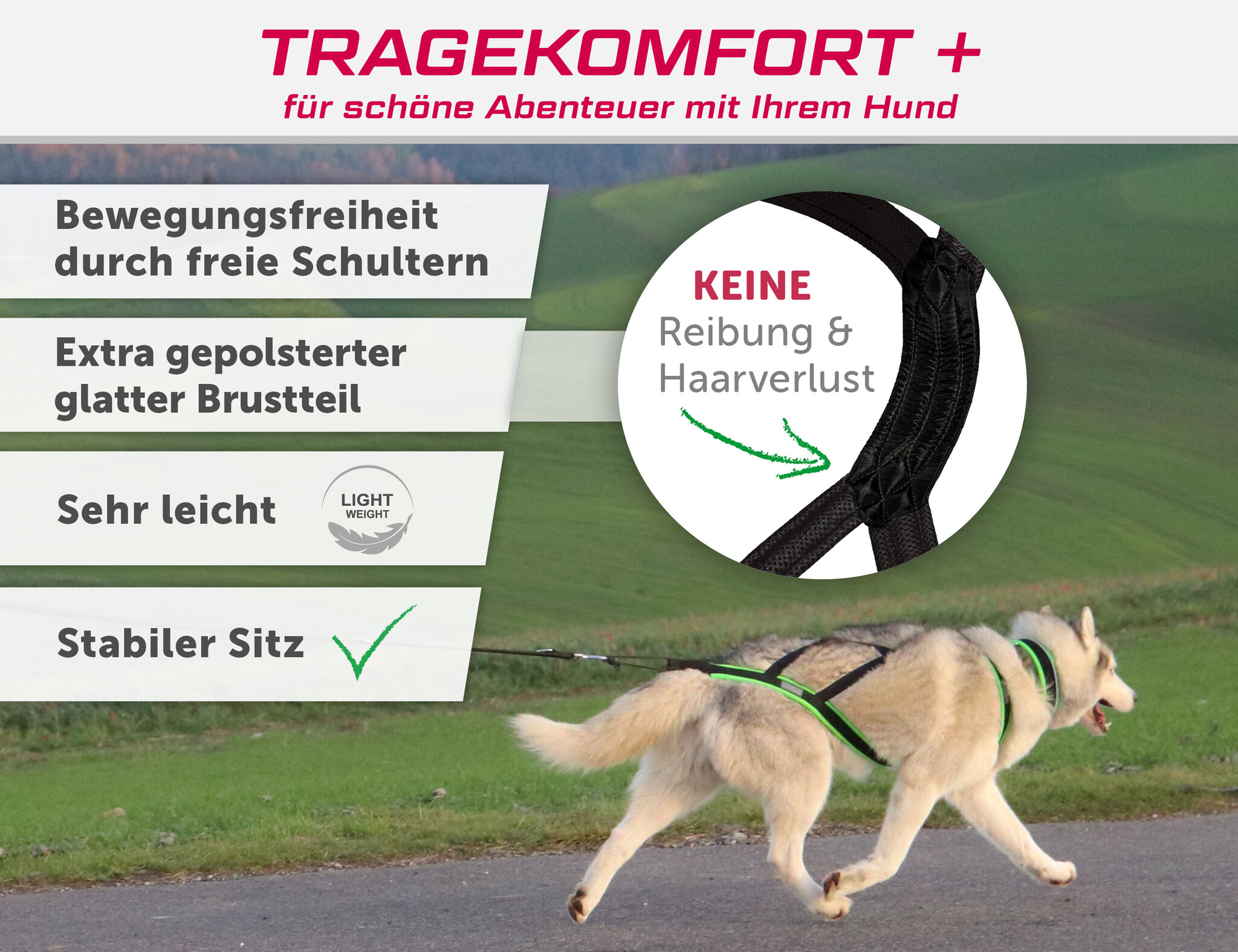 LASALINE LASALINE Harnais de Traction X-Back  Pour Chien - en noir