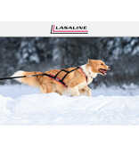 LASALINE LASALINE X-Back Harnais Pour Chien -  en noir / jaune néon