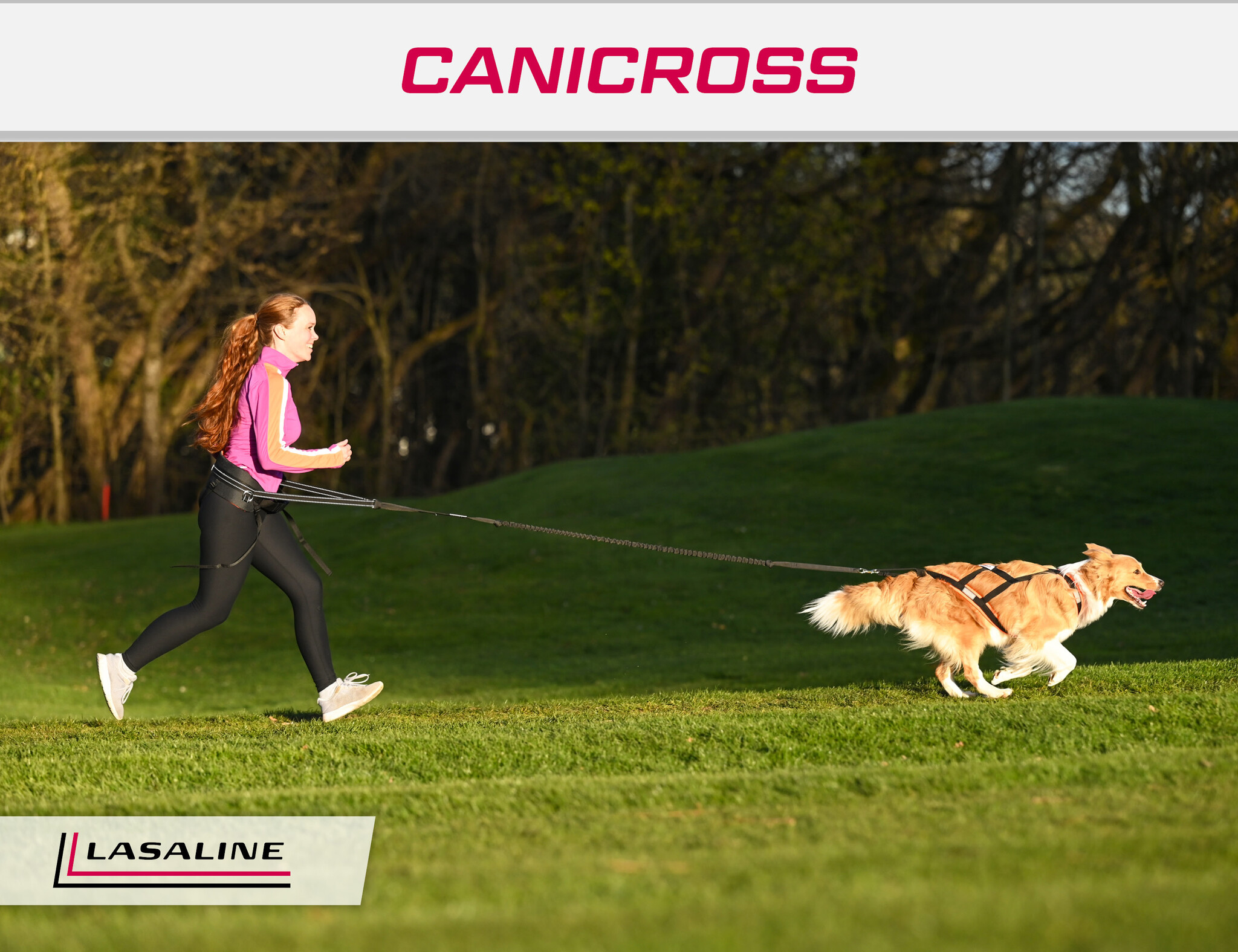 LASALINE LASALINE X-Back Harnais Pour Chien -  en noir / jaune néon