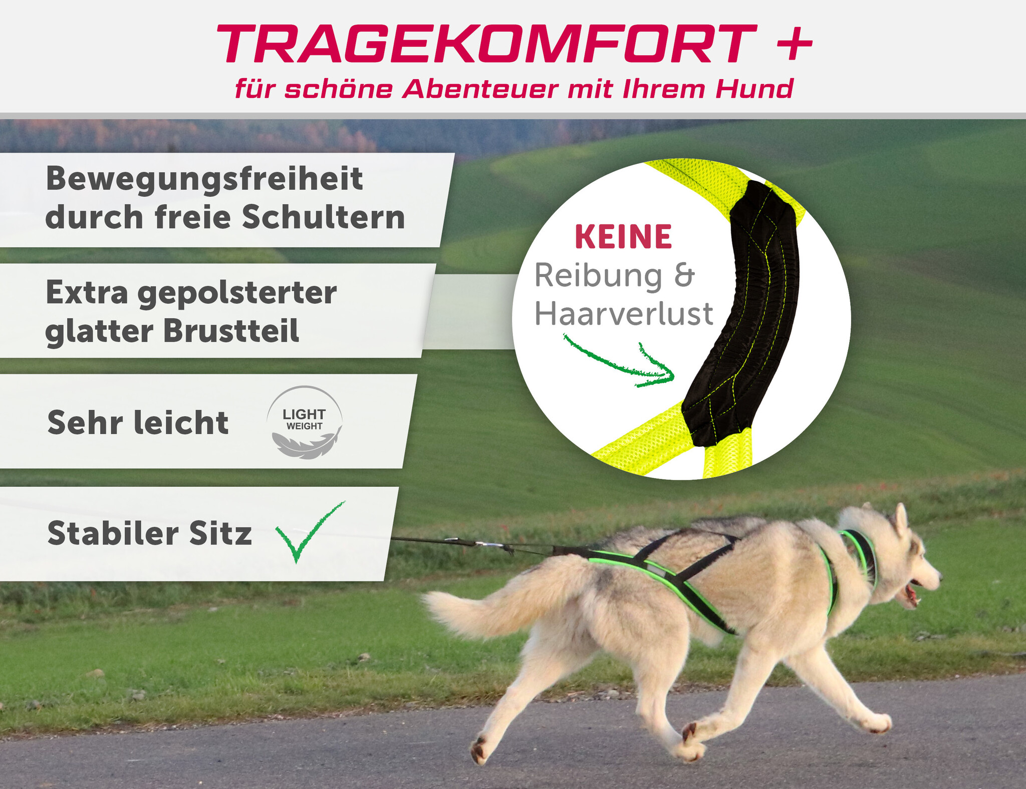 LASALINE LASALINE Weight Pulling Dog Harness, X - Back Style  in neon yellow/black