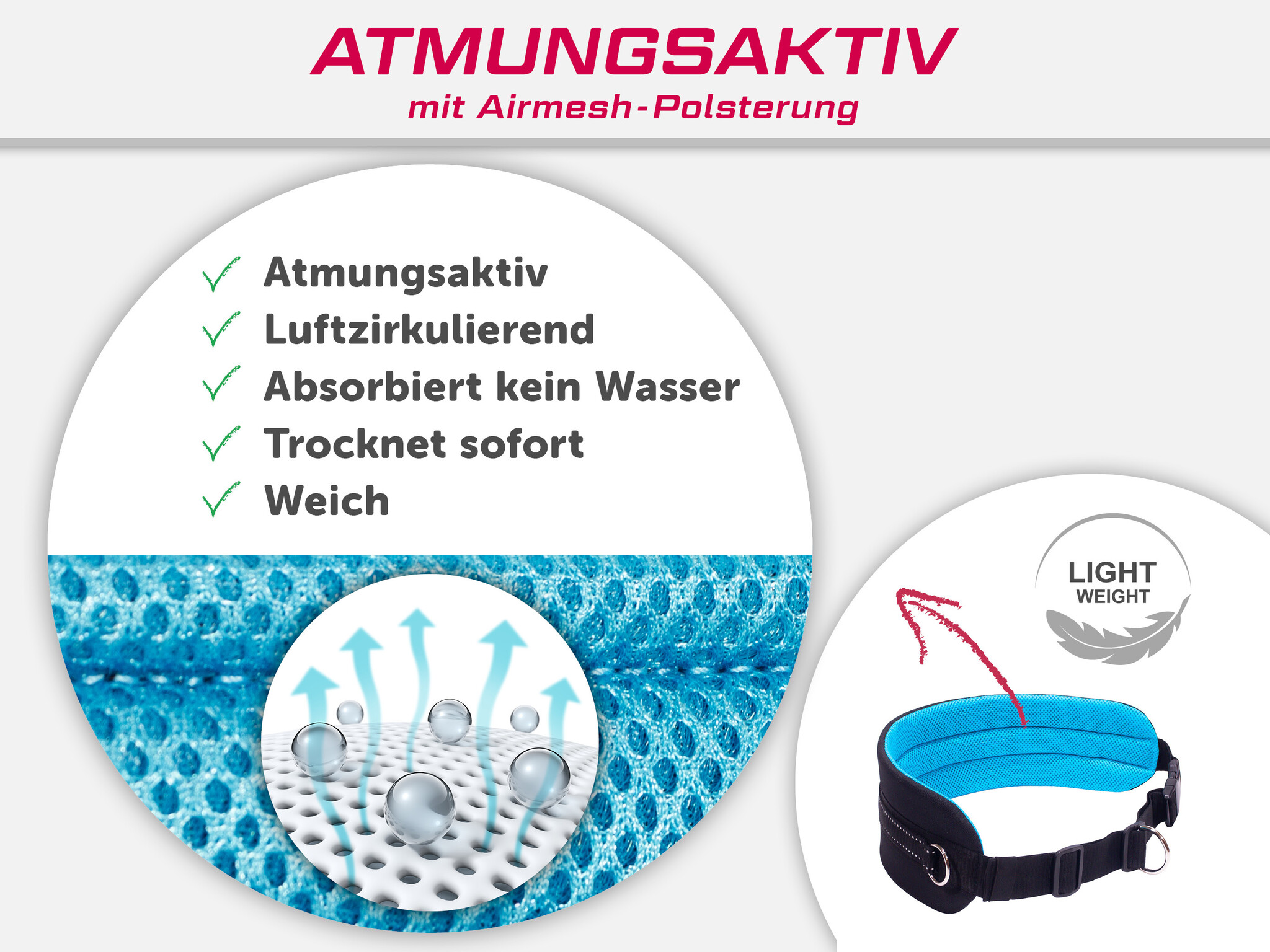 LASALINE Mains-libres chien marchant Courir jogging Ceinture - bleu clair Pedding / noir avec réflecteurs