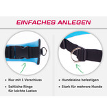 LASALINE Mains-libres chien marchant Courir jogging Ceinture - bleu clair Pedding / noir avec réflecteurs