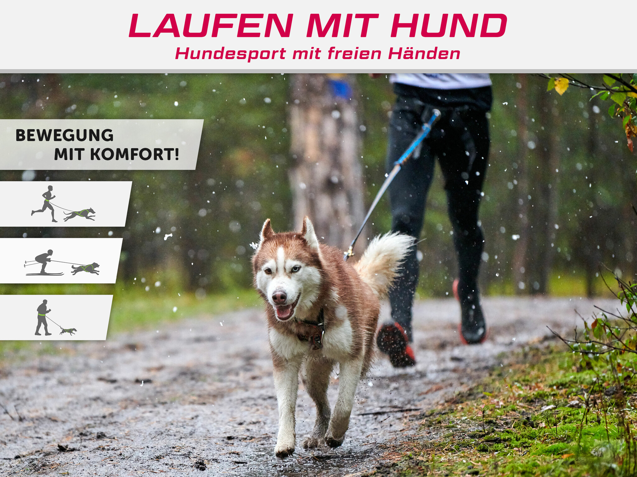 LASALINE Mains-libres chien marchant Courir jogging Ceinture - bleu clair Pedding / noir avec réflecteurs