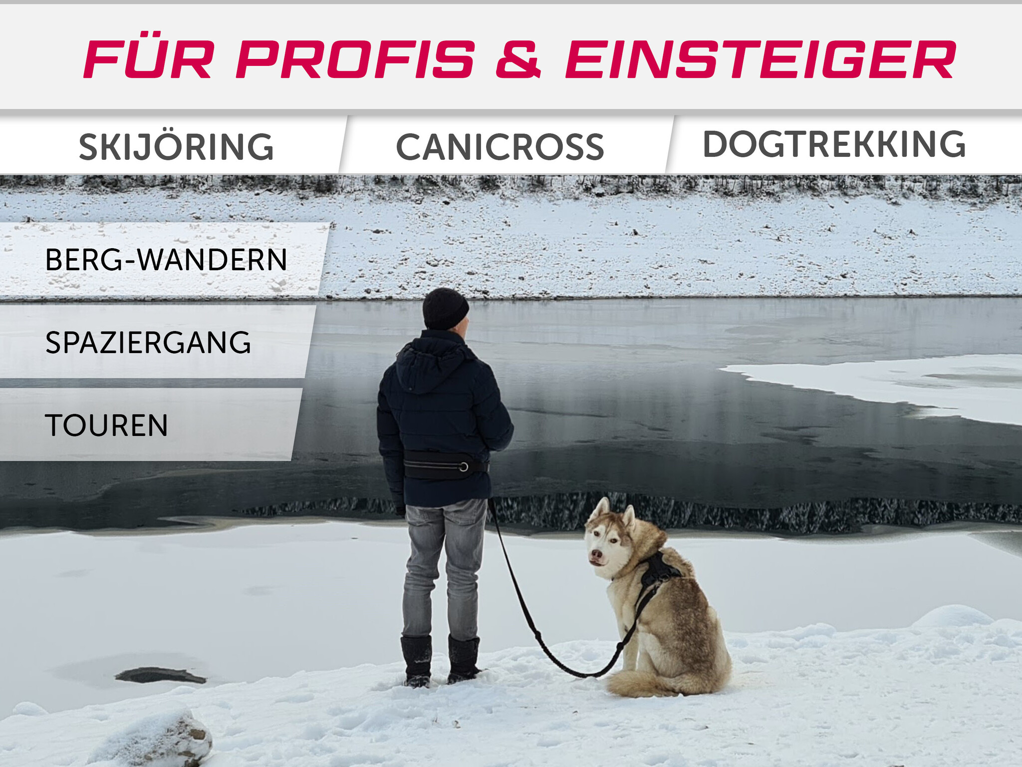 LASALINE Mains-libres chien marchant Courir jogging Ceinture - bleu clair Pedding / noir avec réflecteurs