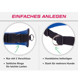 LASALINE Mains-libres chien marchant Courir jogging Ceinture - bleu foncé Pedding / noir avec réflecteurs