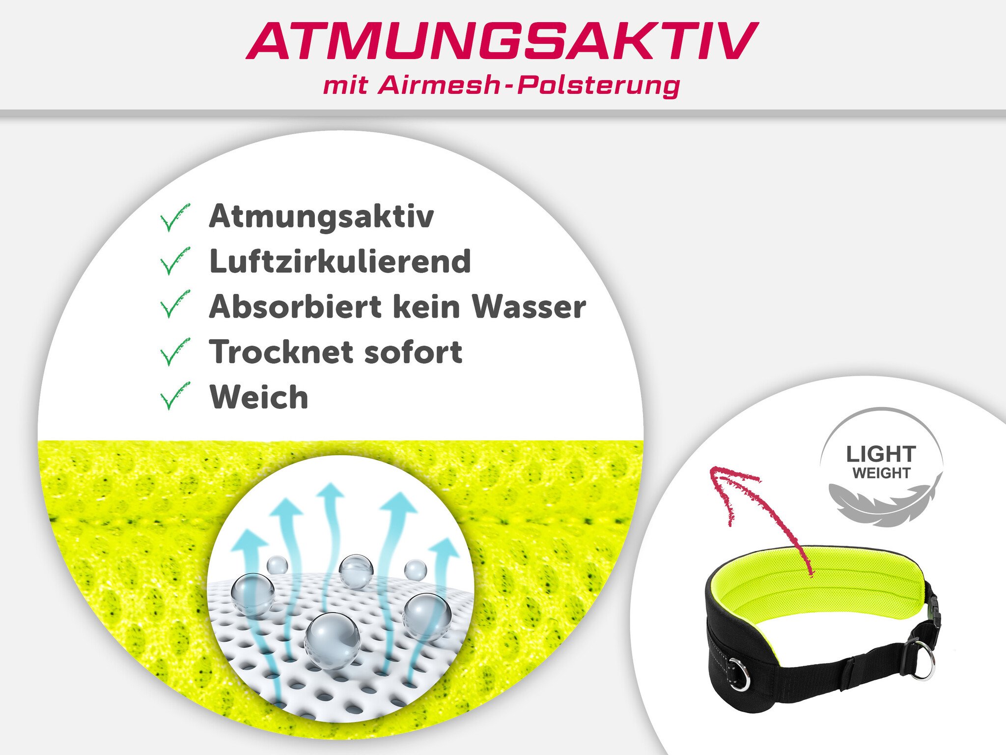 LASALINE Mains-libres chien marchant Courir jogging Ceinture - néon Jaune Pedding / noir avec réflecteurs