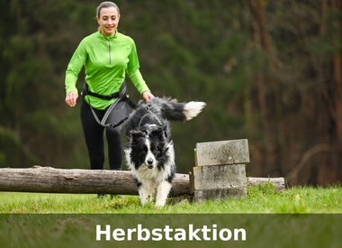 Herbstaktion -20%