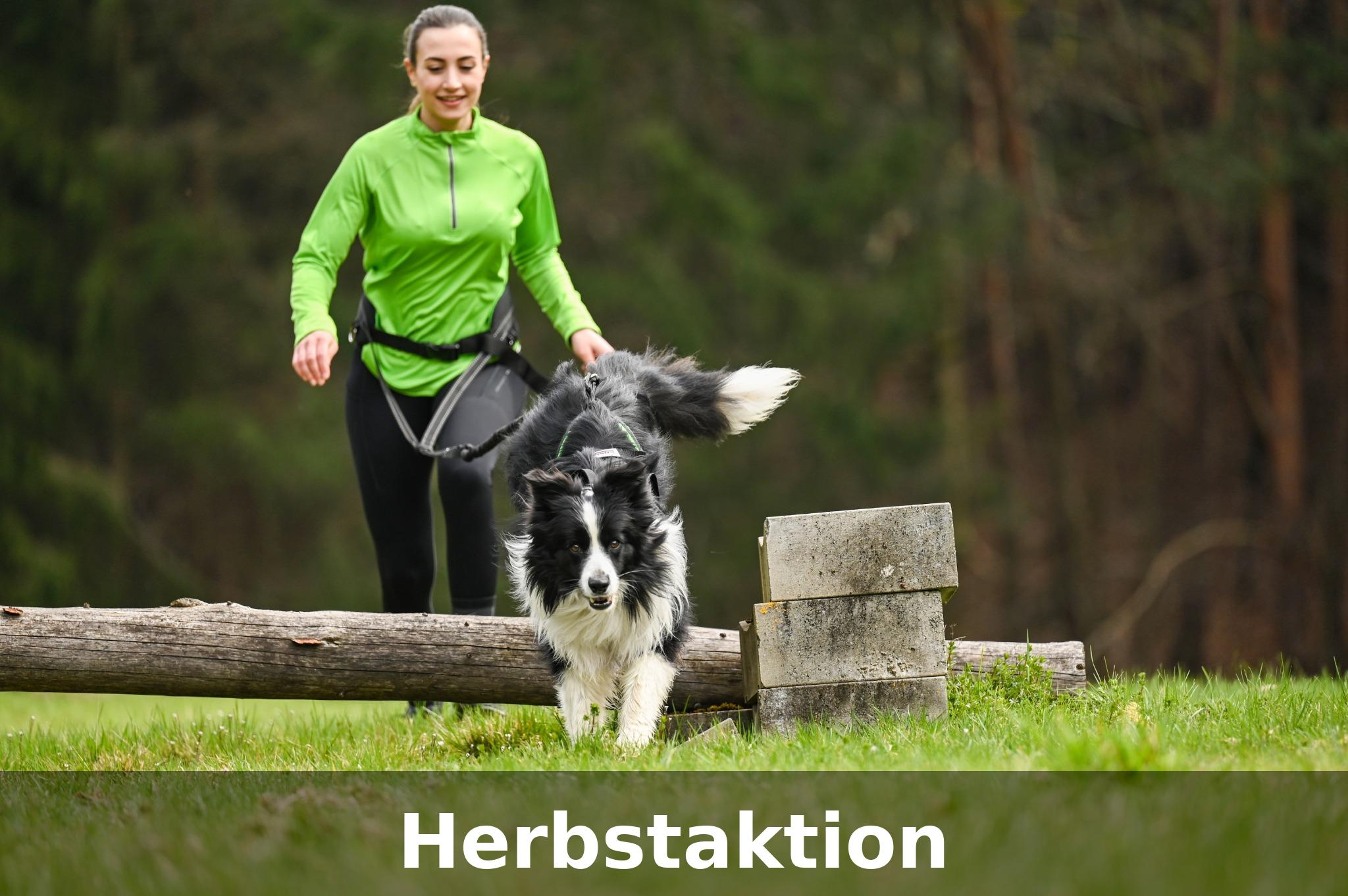 Canicross Herbstaktion