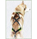 Northern Howl Northern Howl Weight Pulling Dog Harness, X-Back Style Black-Neonyellow