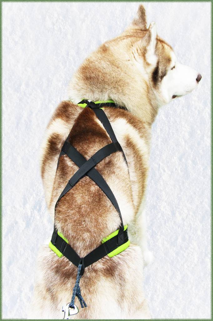 Northern Howl Northern Howl  X-Back harnais pour chien pour le vélo, ski-joering, scooter, traîneau