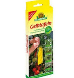 Gelbtafel