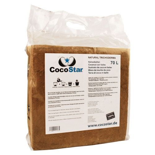 CocoStar Kokosballen