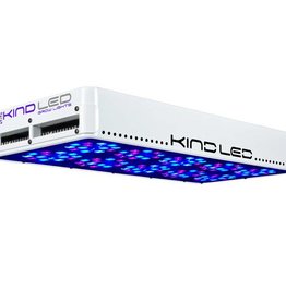 Kind K3 L600 Vegetativ