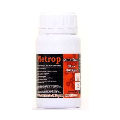 Metrop Amino Bloom