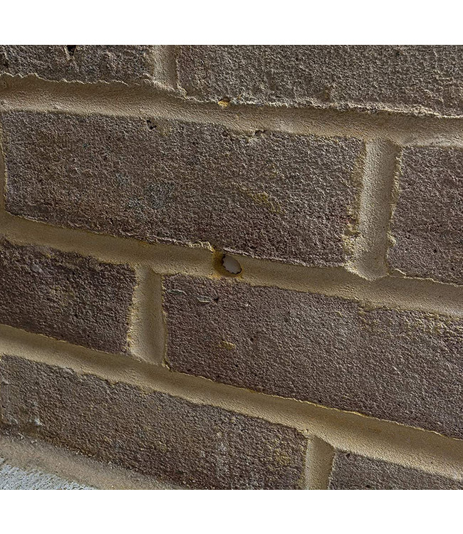 DRYROD DRYROD doos 50 sticks