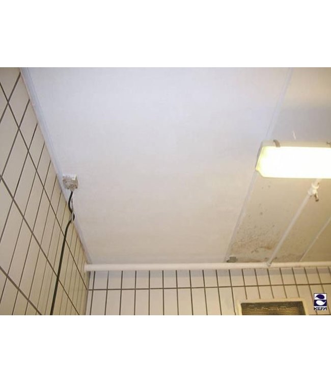 KEFA KefaRid revêtement anti-moisissures 5 L