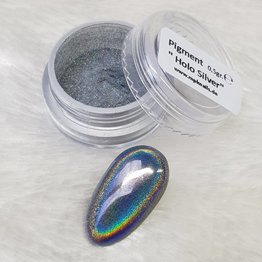 Holographic Pigment Silver