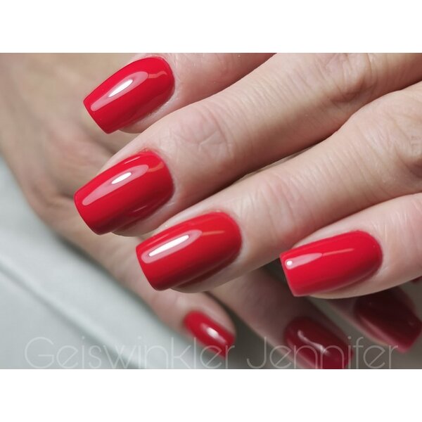 MPK Nails® Basic Farbgel 6 Misses