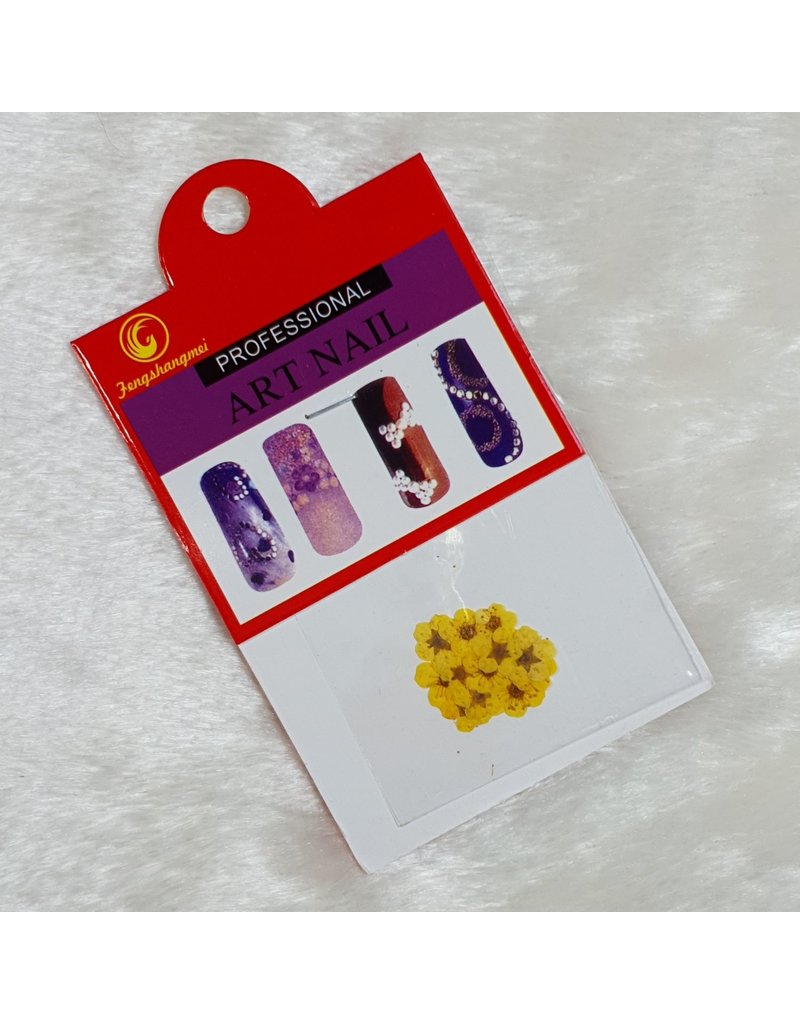 Nail Art Trockenblumen