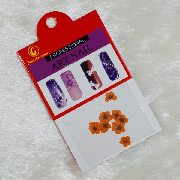 Nail Art Trockenblumen