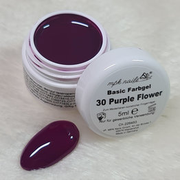 Basic Farbgel 30 Purple Flower